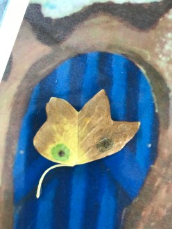 7.20.deziel.fallen leaf tulip polar with eyes like a mardi gras mask or cartoon.