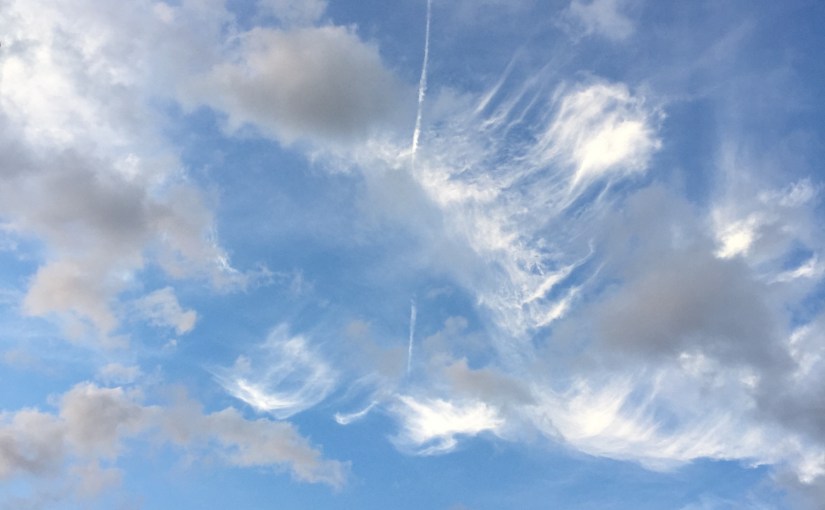 Wednesday, August 12