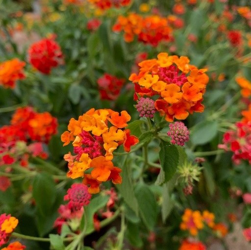 Friday, September 25