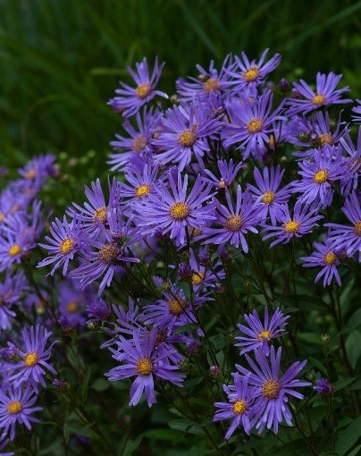 Wednesday, September 9