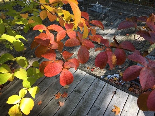 Wednesday, October 14