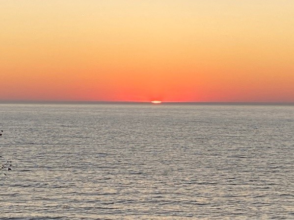 Wednesday, November 11