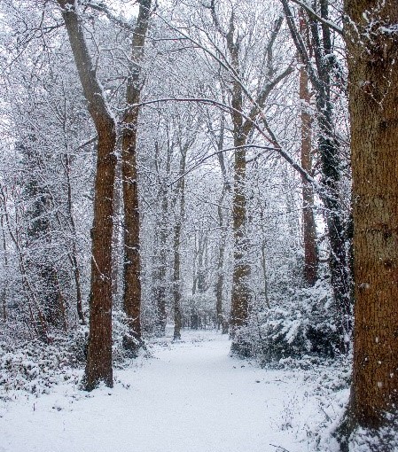 Wednesday, February 10