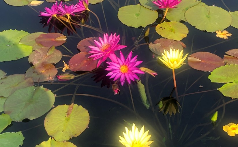 Friday, September 17