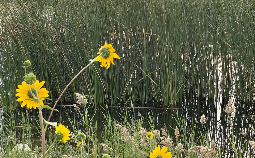 Friday, September 10