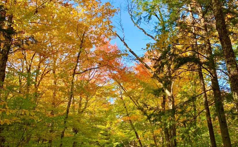 Wednesday, November 10