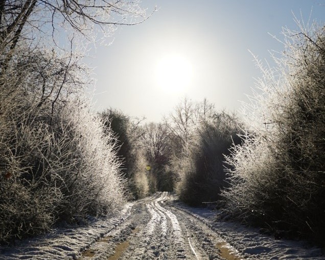 Wednesday, December 29