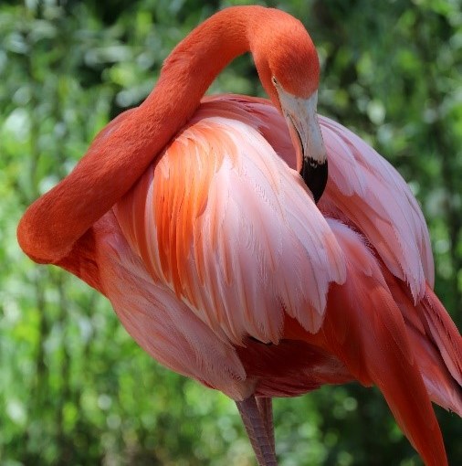 Wednesday, February 2