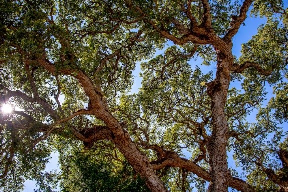 <strong>Wednesday, August 31</strong>