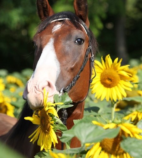 <strong>Wednesday, September 21</strong>