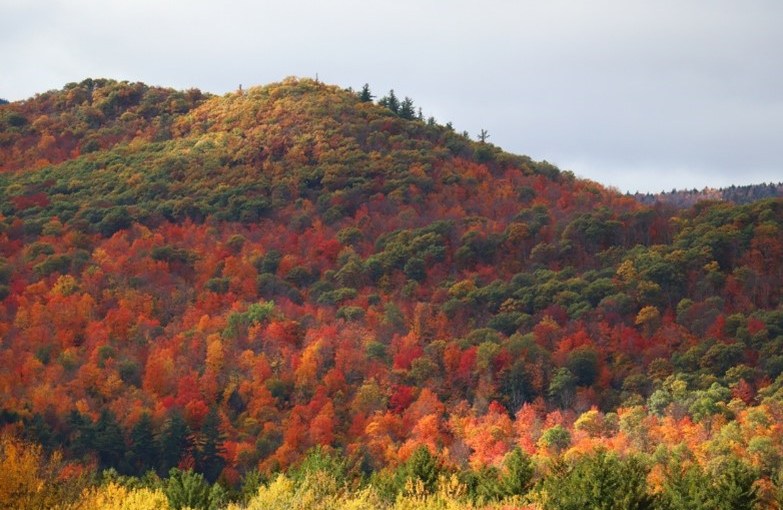 <strong>Wednesday, September 28</strong>