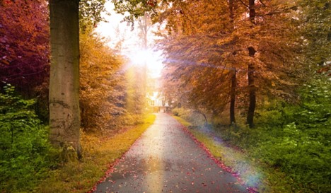 <strong>Monday, October 3</strong>