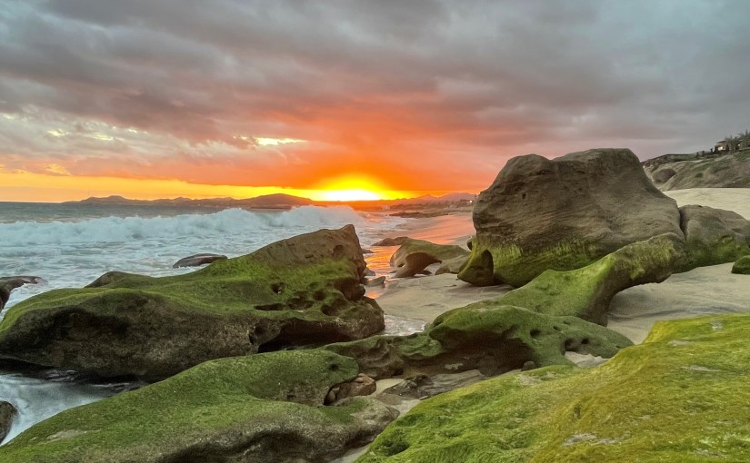 <strong>Monday, November 21</strong>