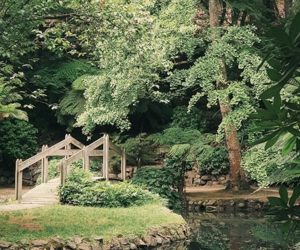 Saturday, December 31